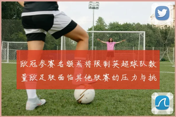 欧冠参赛名额或将限制英超球队数量欧足联面临其他联赛的压力与挑战